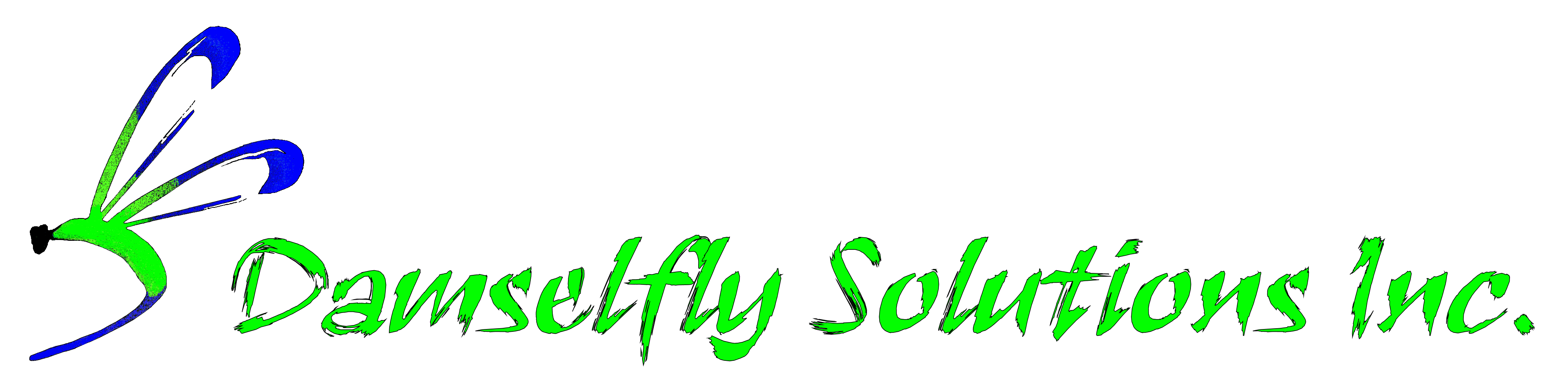 Damselfly Solutions Inc